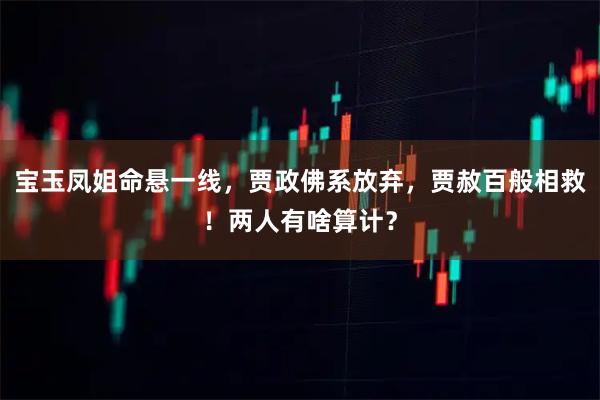 宝玉凤姐命悬一线，贾政佛系放弃，贾赦百般相救！两人有啥算计？